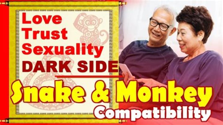 The Essential Guide To Monkey And Snake Compatibility: Harmonious Or Challenging?