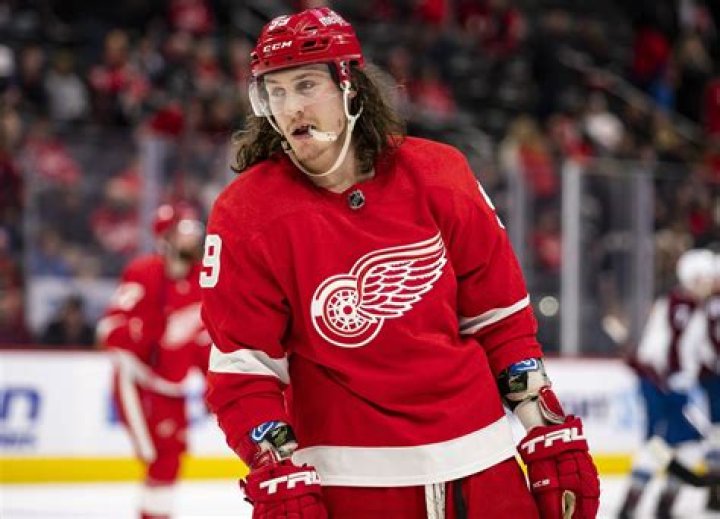 Uncovering The Legacy Of Todd And Tyler Bertuzzi